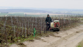 bouse-de-corne-500-chenillard